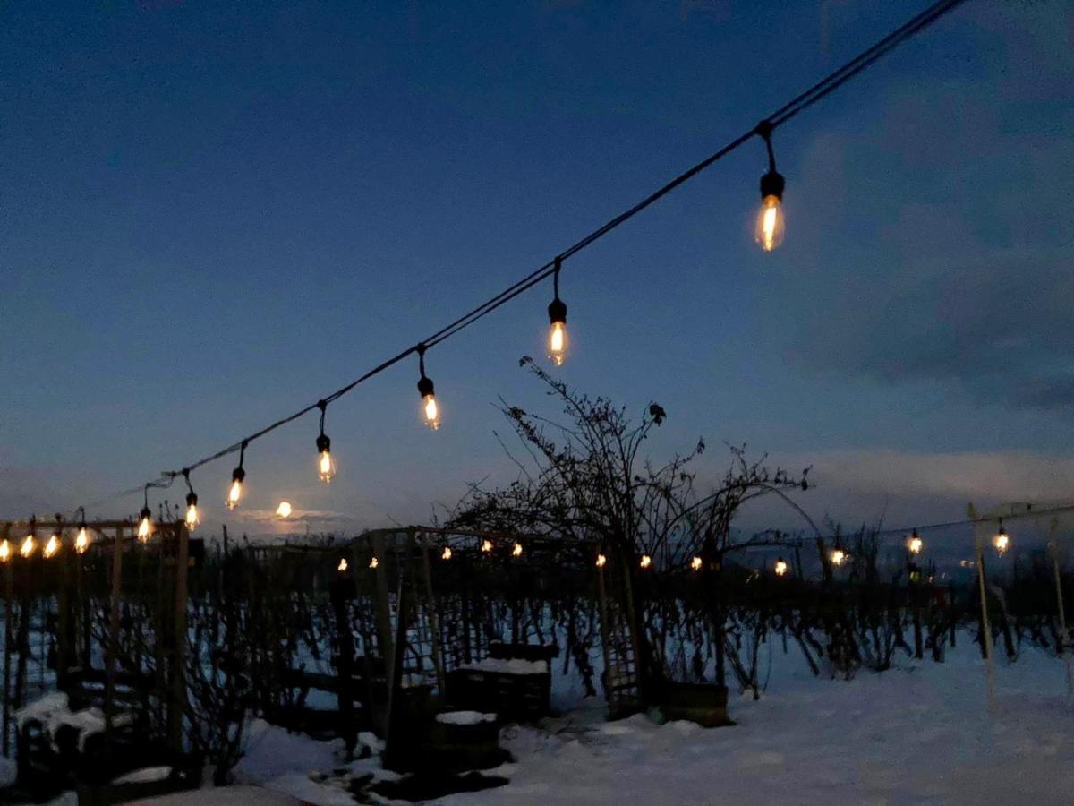 Cascina La Maddalena Bed&wine
